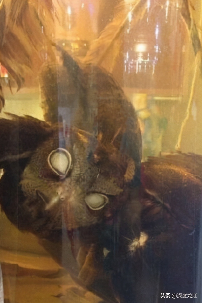 广西104岁老人自制药酒,爷爷泡的10年药酒