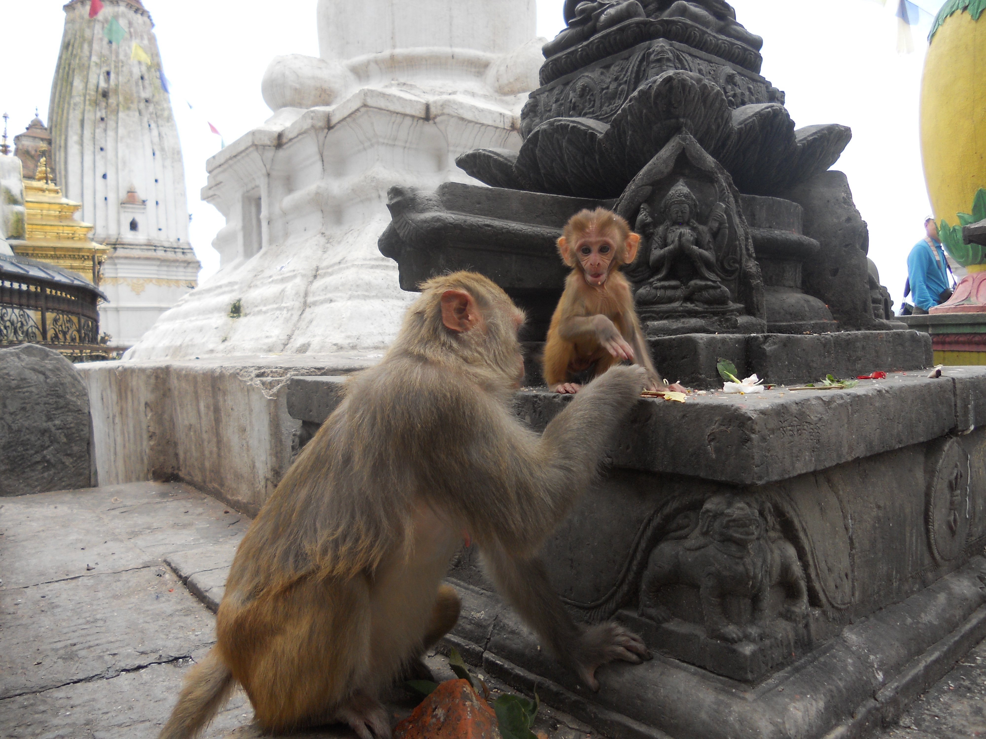 中国的后花园是指哪里,尼泊尔之游