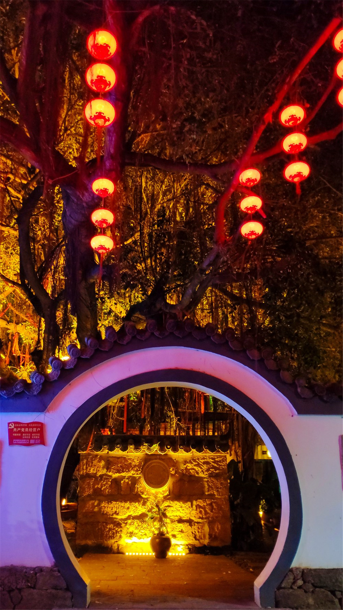 广西北海涠洲岛的火山岛介绍,涠洲岛是中国最年轻的火山岛吗