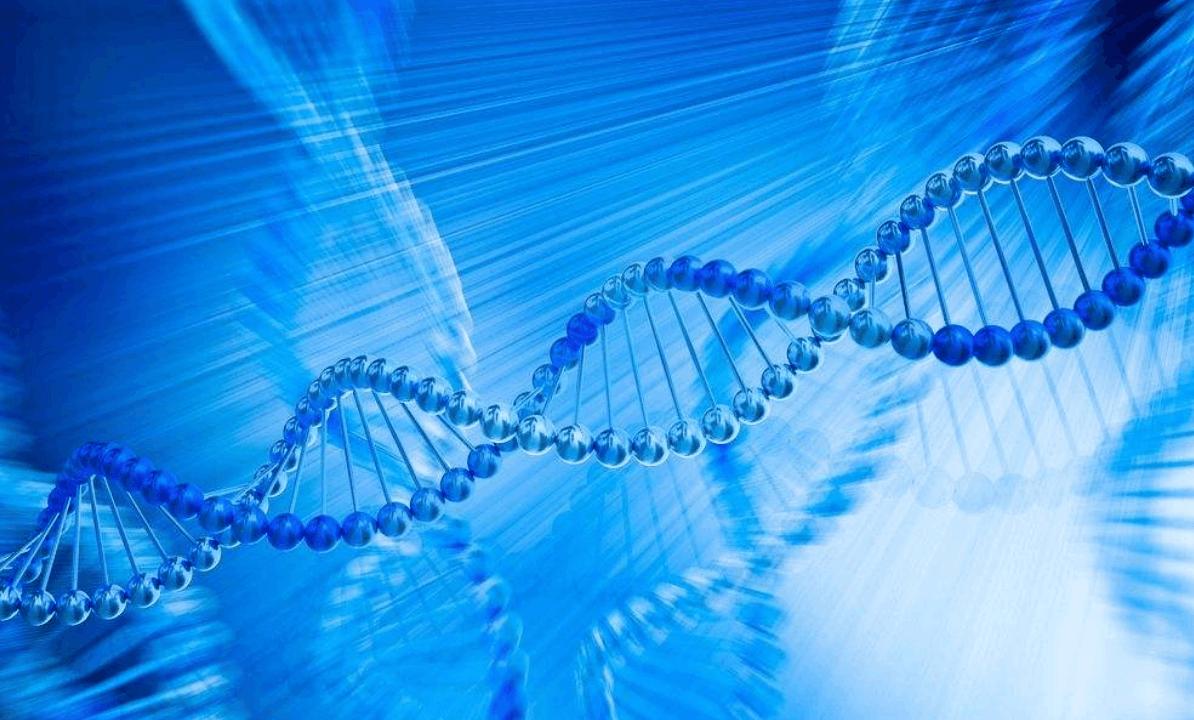 cadasil病可怕吗,cadasil是罕见病吗