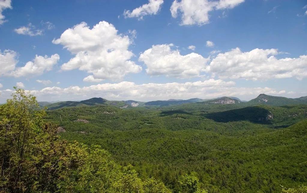 中医特有专长报考助理中医师,中医执业助理可以报考中医专长证