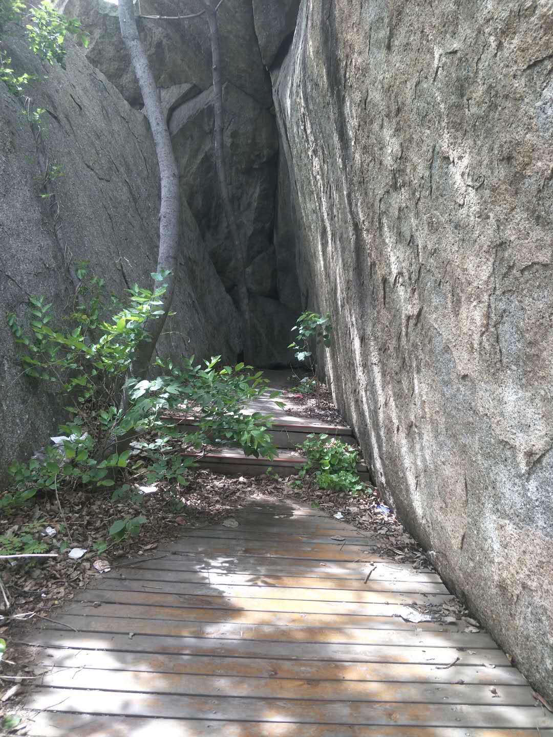 踏春五宝庵风景,踏春五宝庵山在哪里
