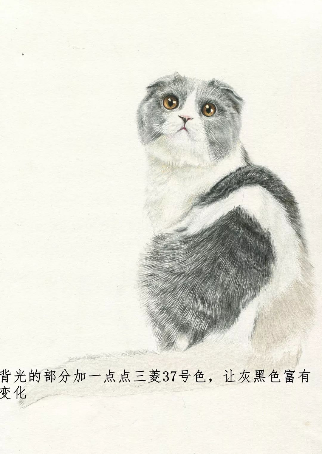 素描动物入门知识,素描动物简单入门教程狗