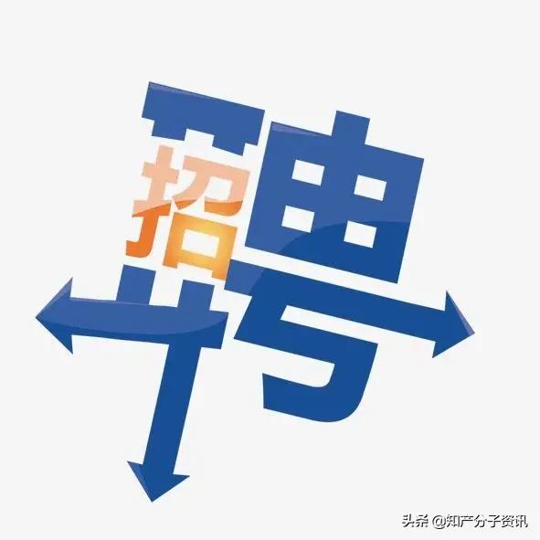 鍙峰鍙峰鍦ㄧ嚎瑙傜湅,鍙峰鍙峰鍏ㄧ綉寰侀泦