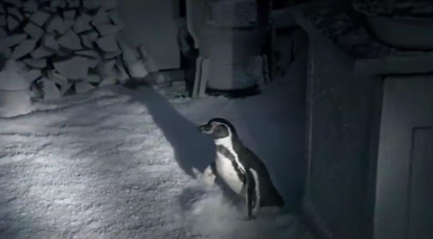 「推荐」《异形大战铁血战士》宇宙最强外星人之间的PK