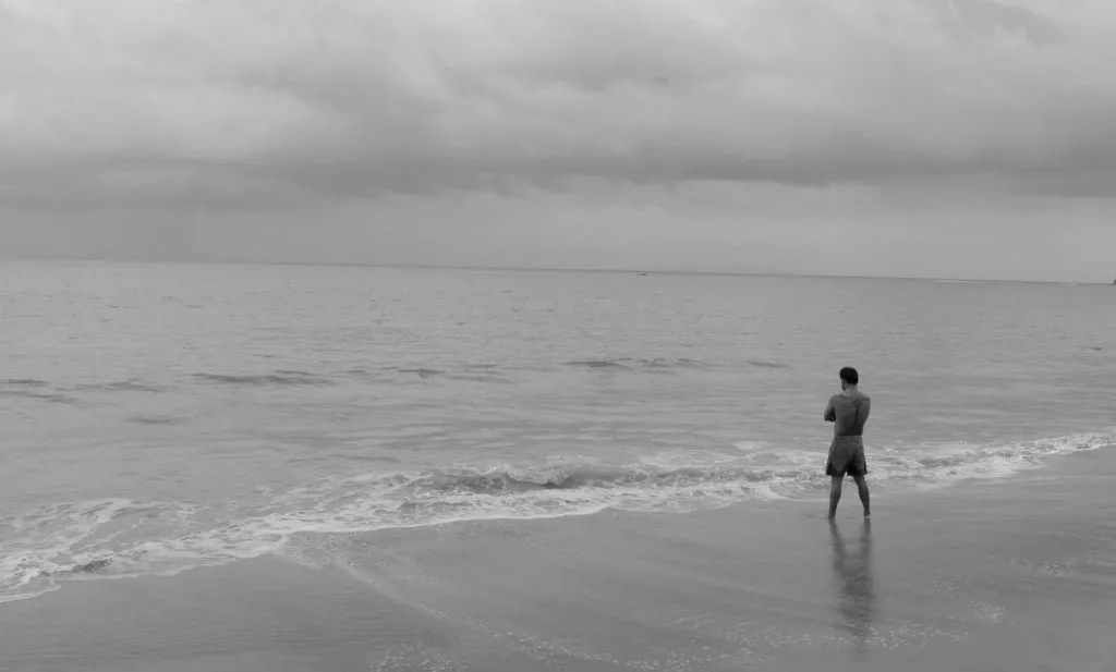 100部公认最好看的电影,100部最好电影