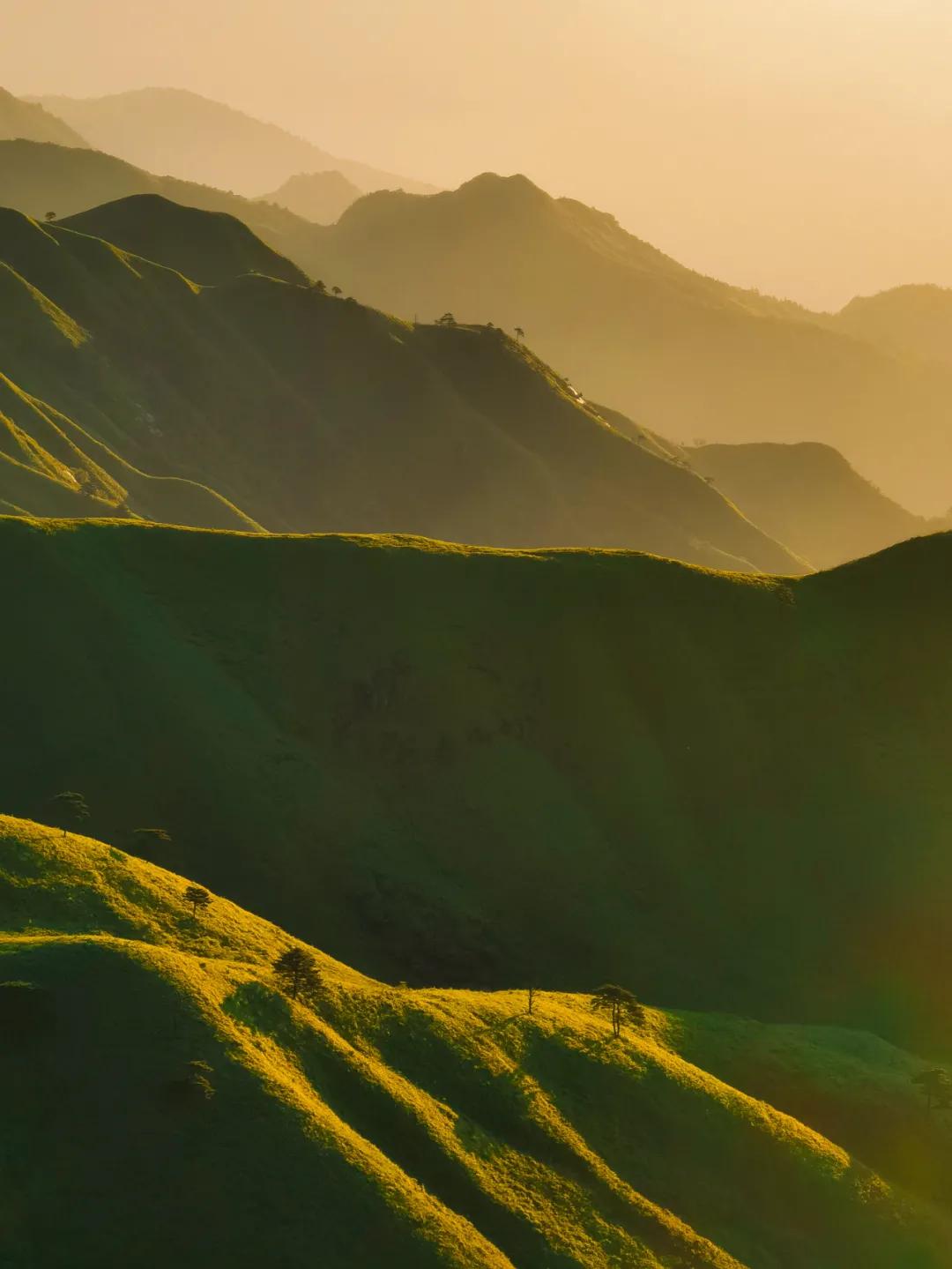 新手必看最新iphone相机教程,iphone自带相机拍摄技巧