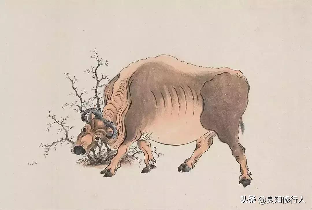 关于才高八斗的典故简介,夸人有才的100个文学典故