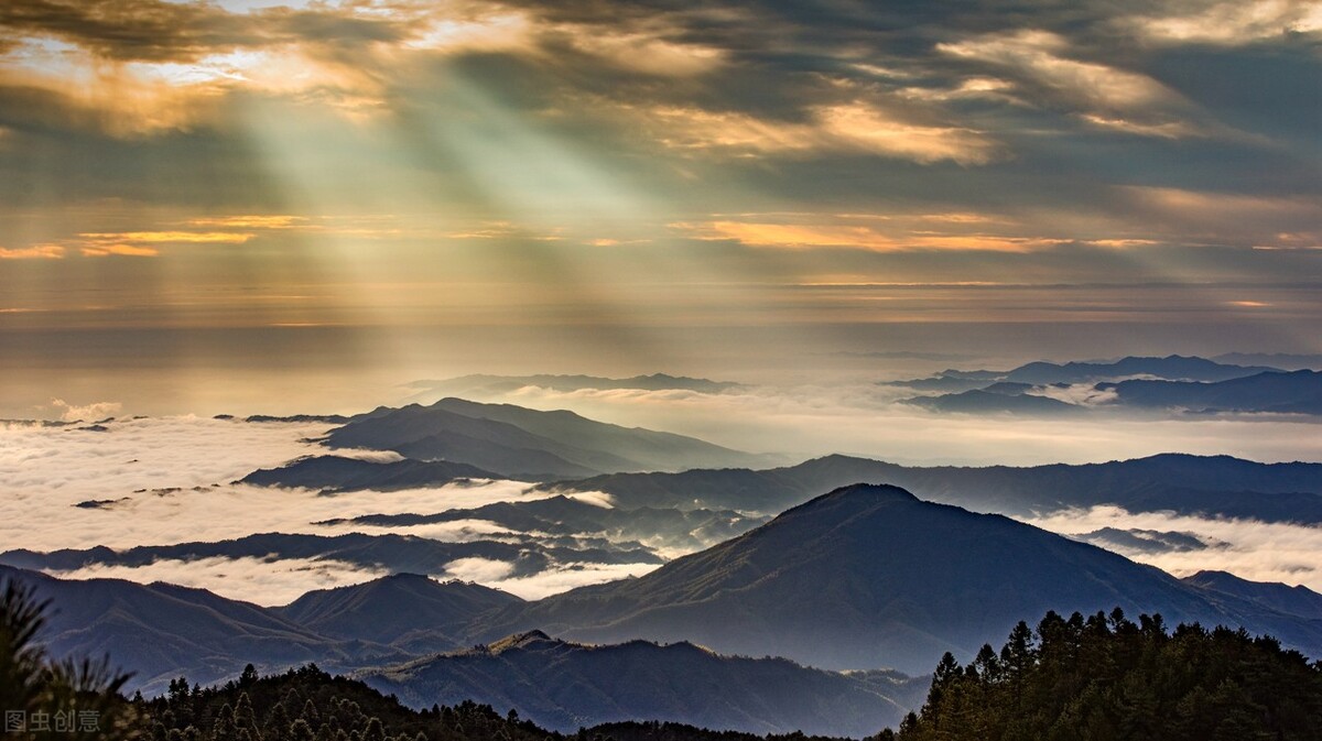 经历了教培行业的月薪3万和裁员，扛住风险的关键并不是优秀