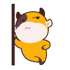 江浙有哪些好玩的海岛,江浙沪附近的海岛推荐小众