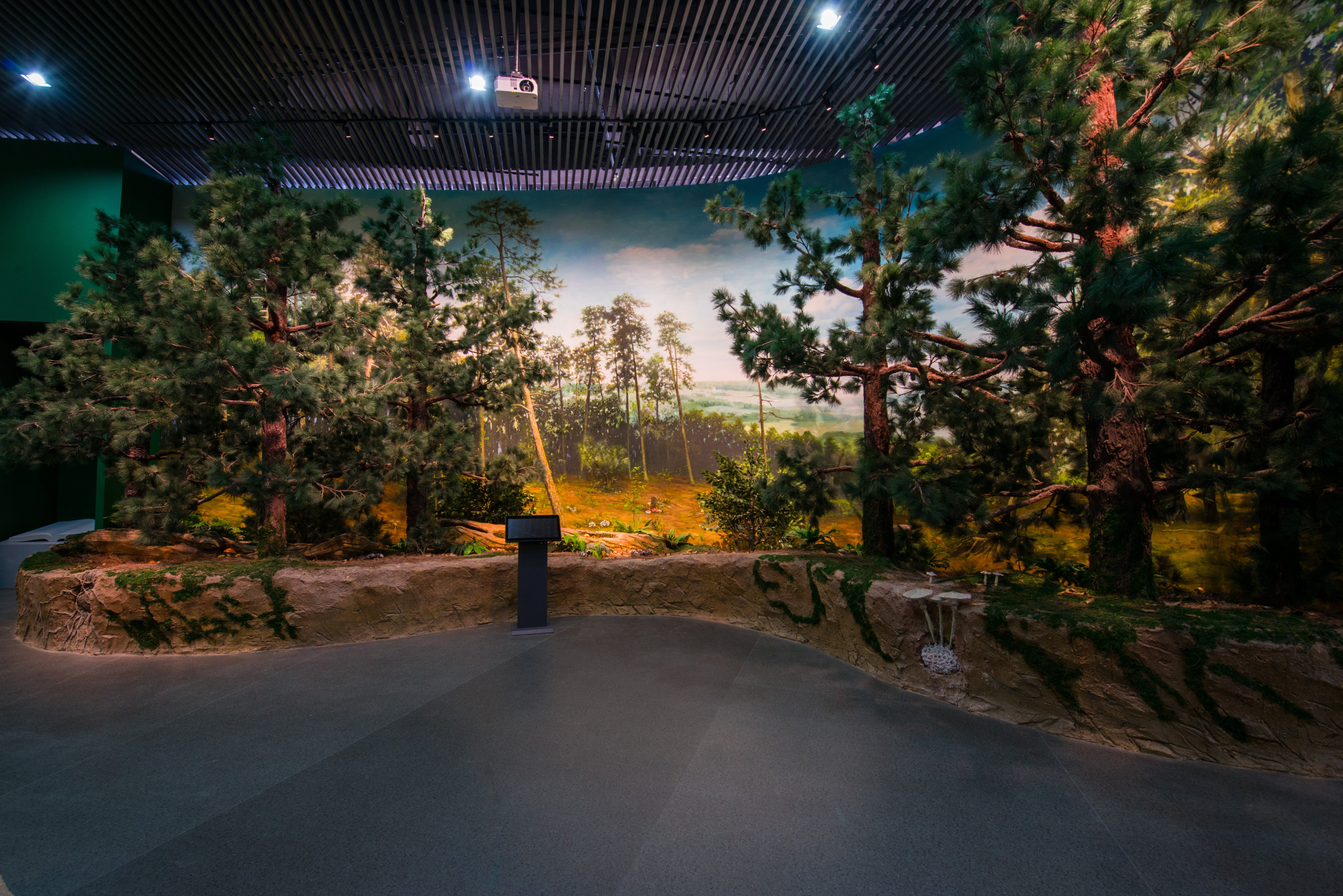 易门县食用菌产业发展,易门县食用菌产业发展得怎么样