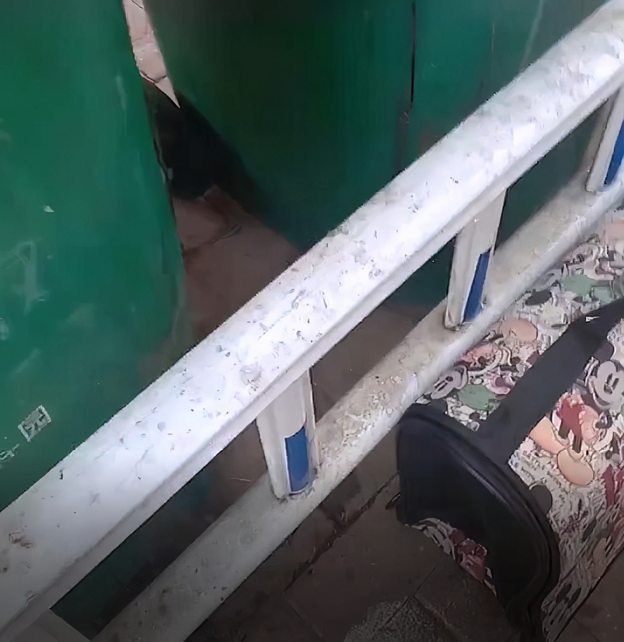 捡到一只被遗弃的小奶猫要怎么养,捡到一只蓝猫需要注意什么