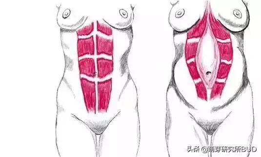 产后150斤，我用这5个健身指南，迅速瘦回产前苗条身材！