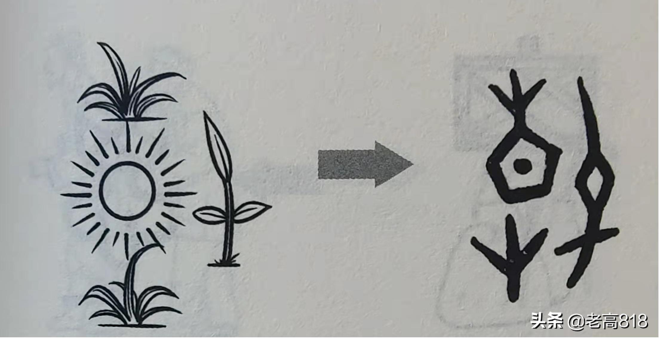 春夏秋冬无闲事，平常心自道中来