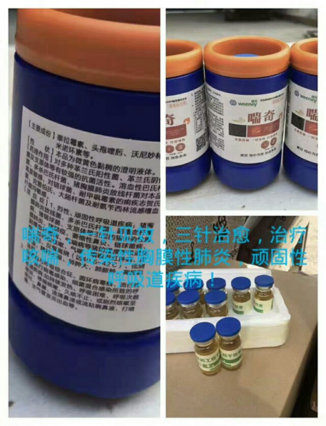 常见羊病分析和治疗大全