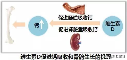 小孩会得骨质疏松症吗,儿童骨质疏松的症状有哪些