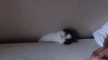 最近总是中奖意味着什么,为什么最近老是会中奖呢