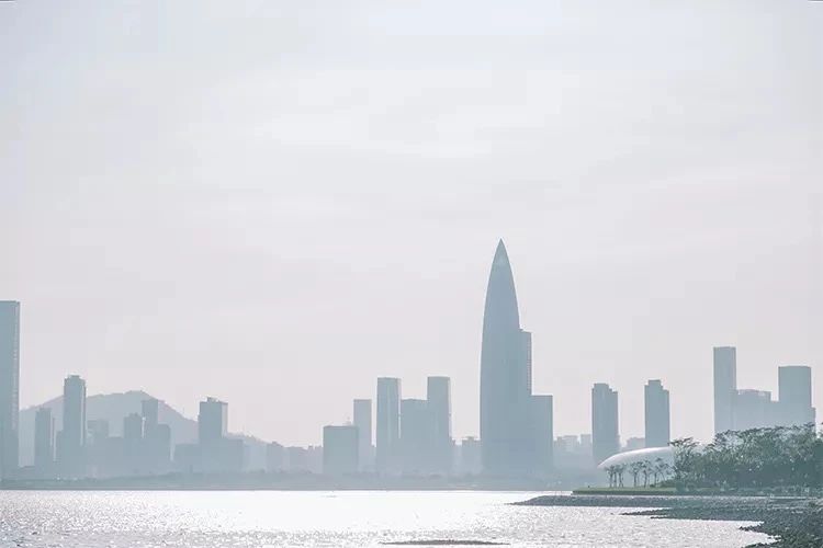 深圳周末带孩子免费游玩好去处,2021深圳免费适合遛娃玩地方排名