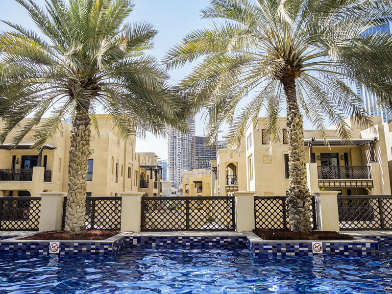 从天空到海洋到大地的视频,从天空到海底绘本