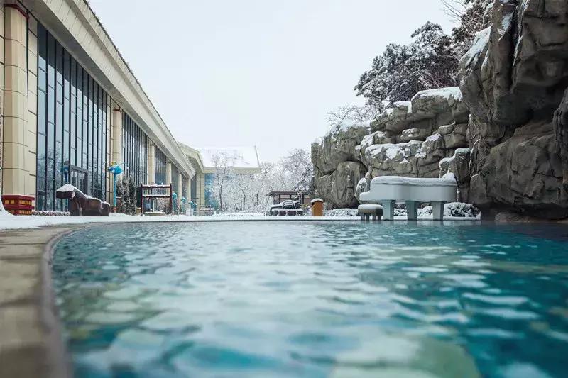 抚顺热高三个园攻略,抚顺热高丛林乐园游玩项目