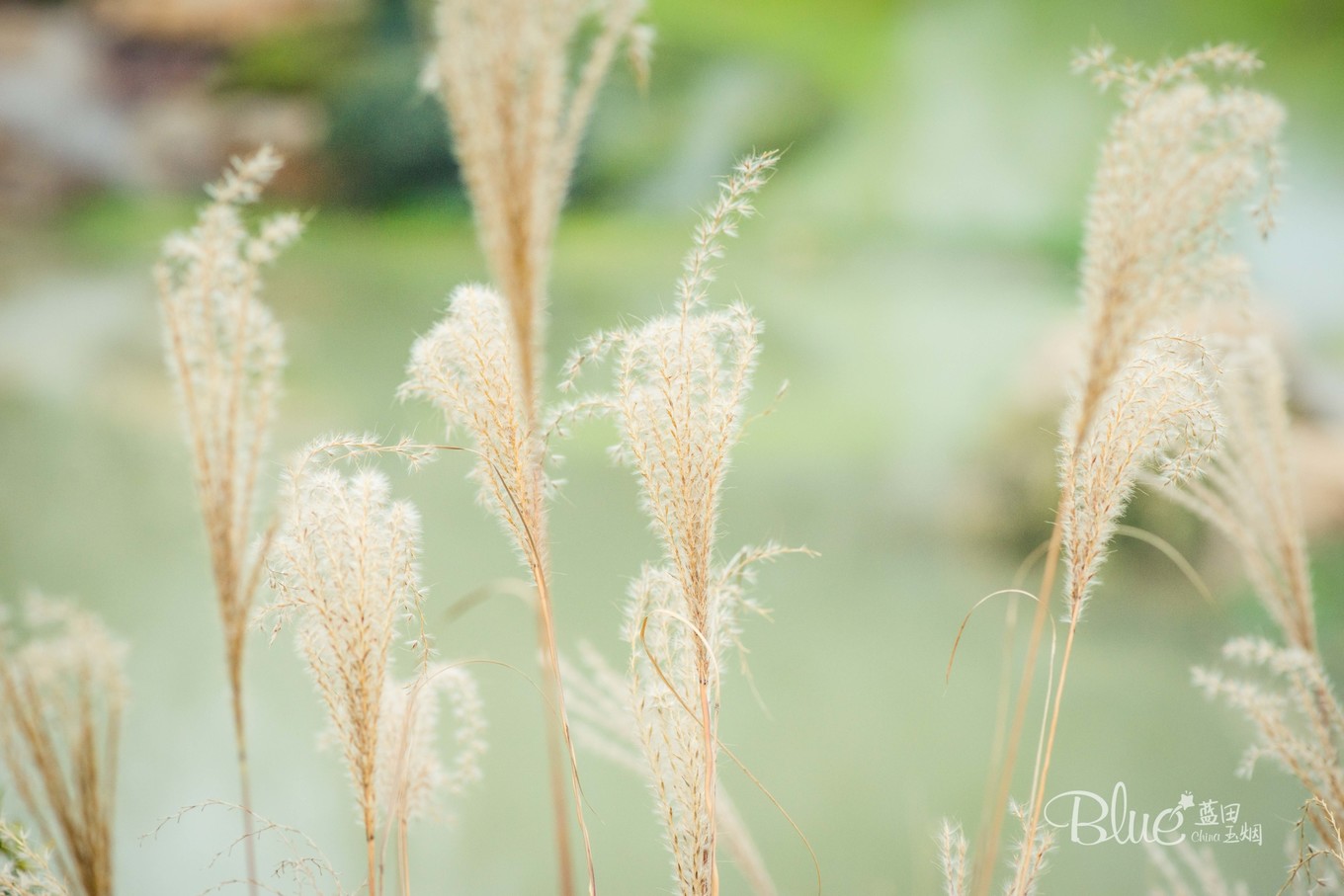 最有灵性的古佛寺,国内最美佛寺排行榜前十