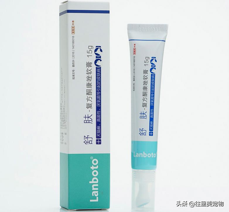 宠物生病用什么药治疗好得快一点,宠物生病后吃什么药好得快些呢