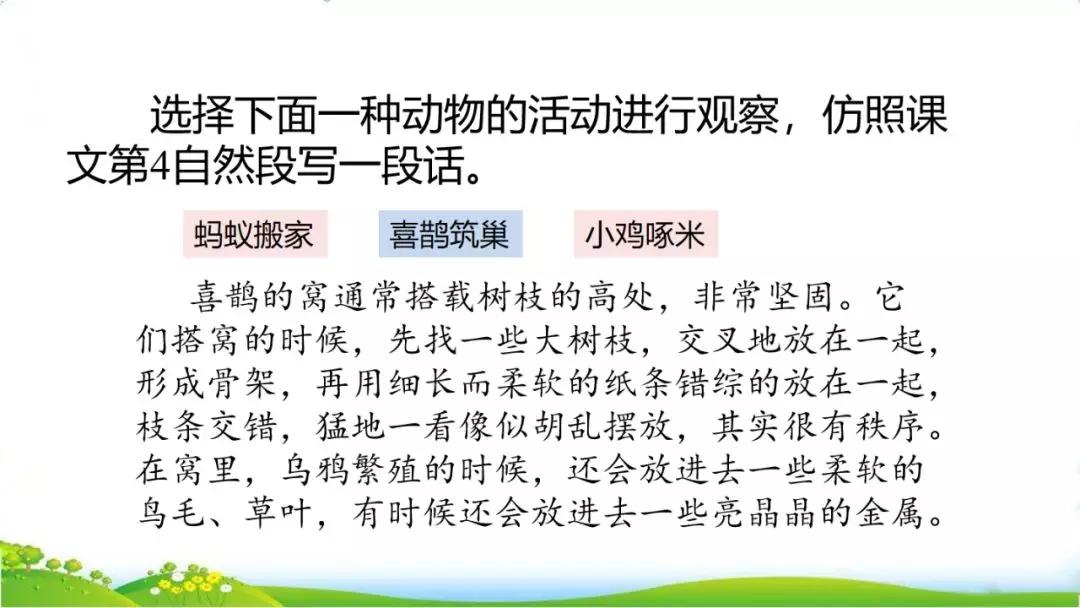 五年级语文第17课松鼠讲解,五年级上册第17课松鼠教材详解