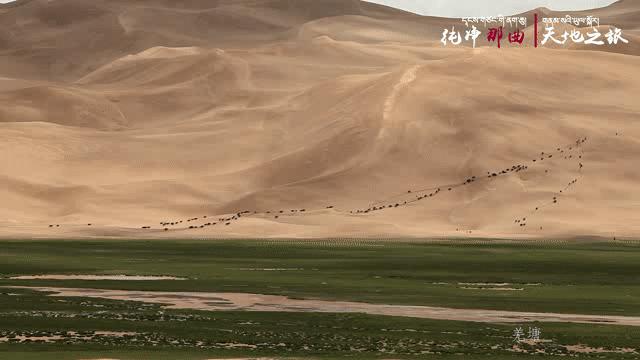 那曲锅庄舞,那曲鞋子店