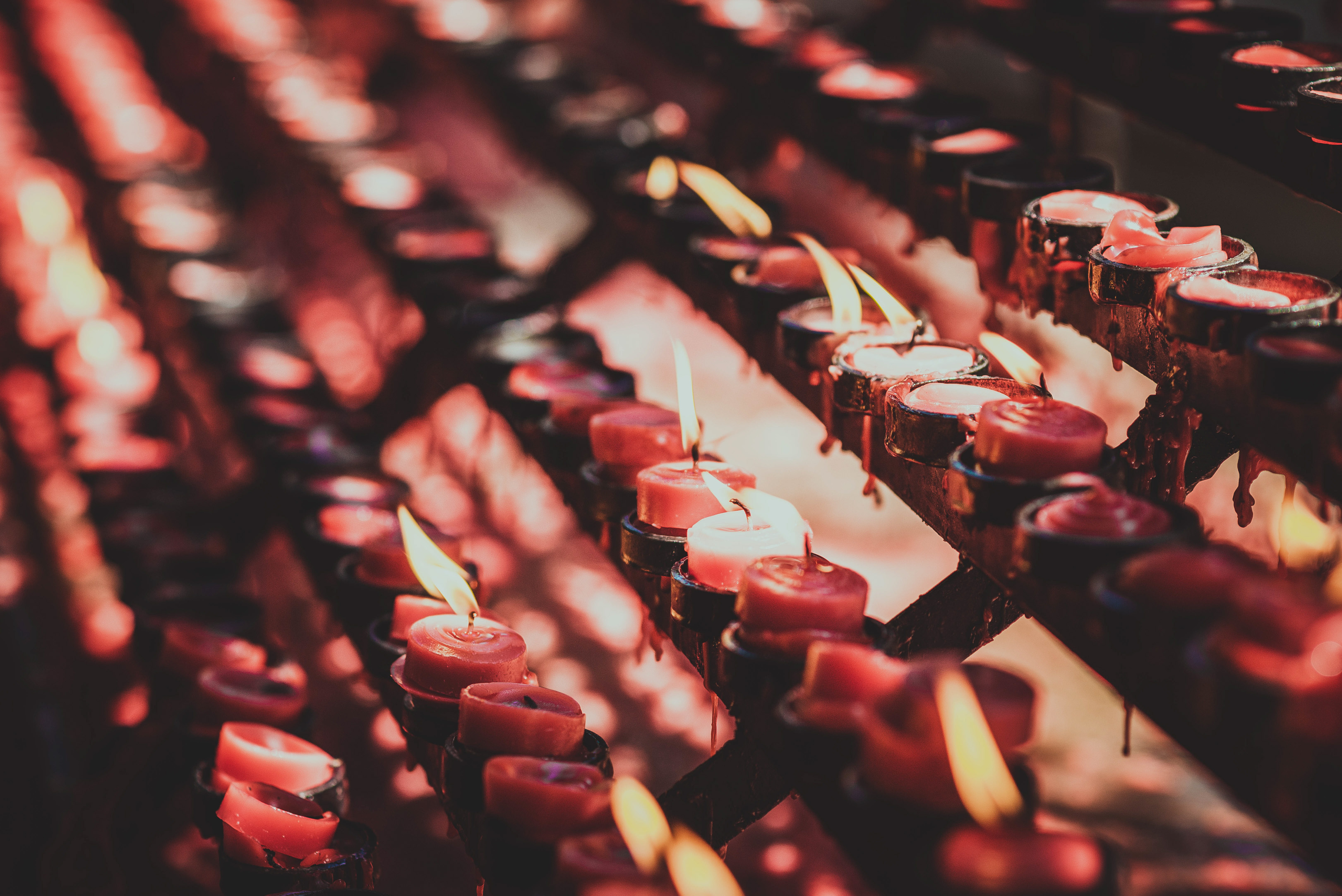 菲律宾宿务薄荷岛旅游攻略华人 (菲律宾宿雾城市风景)