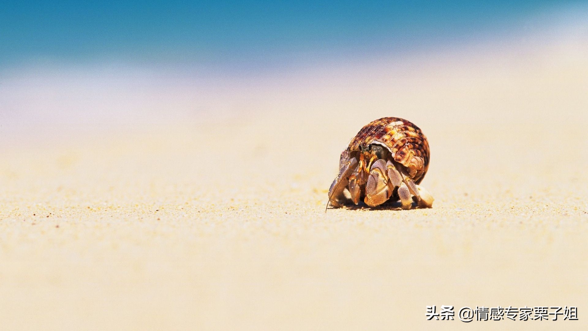 真心这东西本就难遇,真心这种东西能够拥有多久