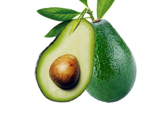 谨记狗狗绝不能吃的6种水果,狗狗一般能吃哪几种水果