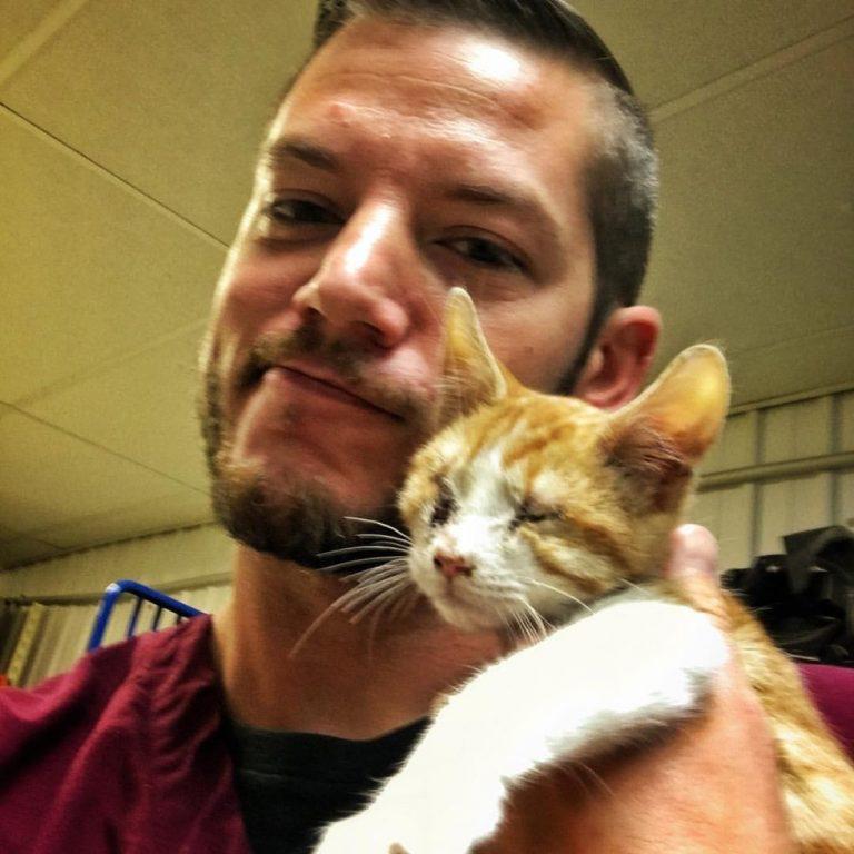 猫咪眼睛受伤严重可以自愈么,猫咪眼睛红肿泪痕严重