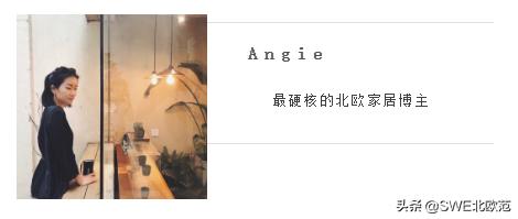 好养的北欧风大型绿植 (12款北欧风格绿植轻松打造ins风)