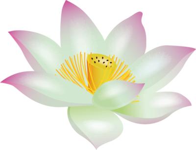 出淤泥而不染的莲花的下一句,莲花出淤泥而不染下一句是什么