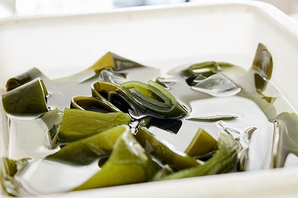 鼻子上挤出白色长条怎么解决,鼻子两侧每天都能挤出白色的东西