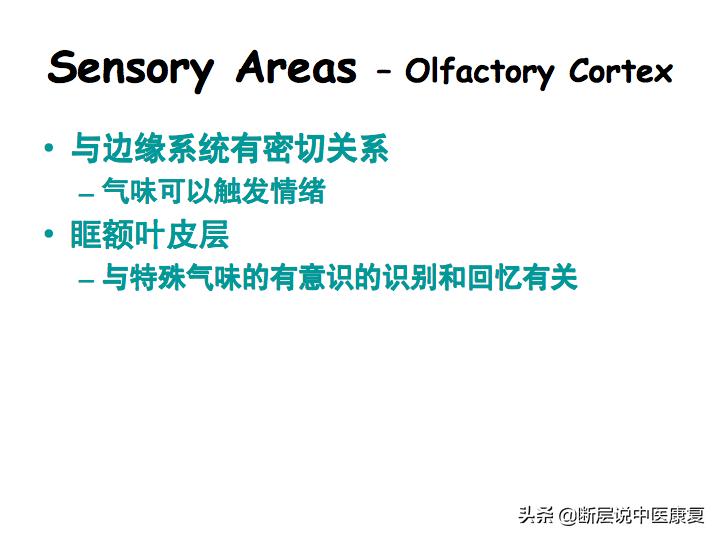 中枢神经系统断层解剖讲解,中枢神经3d解剖动画