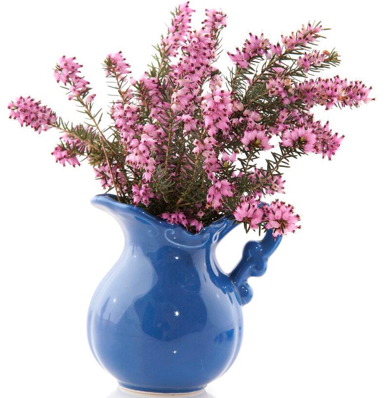 Youkickedassinrehabtoday.你今天在康复中心表现得真不错