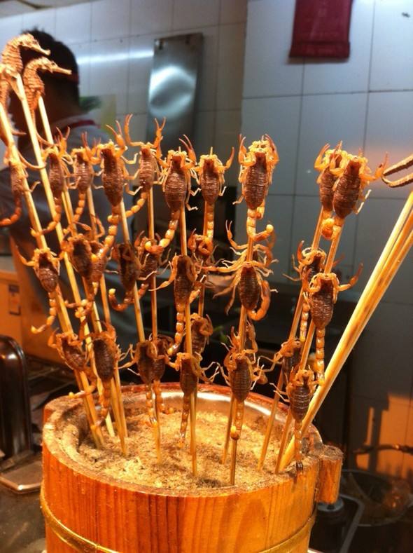 带大家了解一下昆虫美食,国外很火的4种美食昆虫你敢吃吗