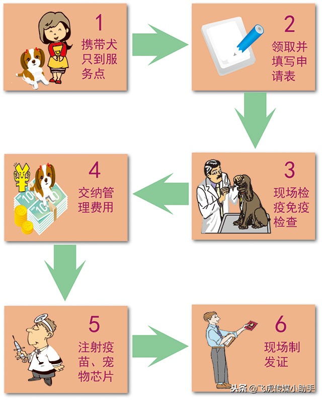 养犬免疫证办理流程,昆明市养犬管理条例