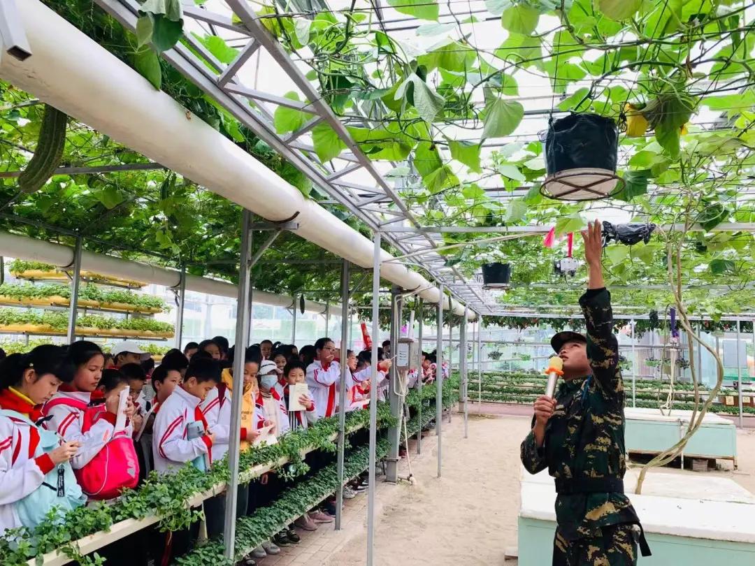 东南花都花博园景观,东南花都花博园