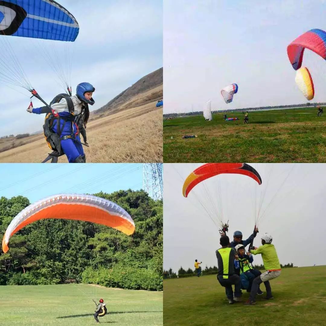 紫薇园宿州露营音乐节,中华紫薇园露营