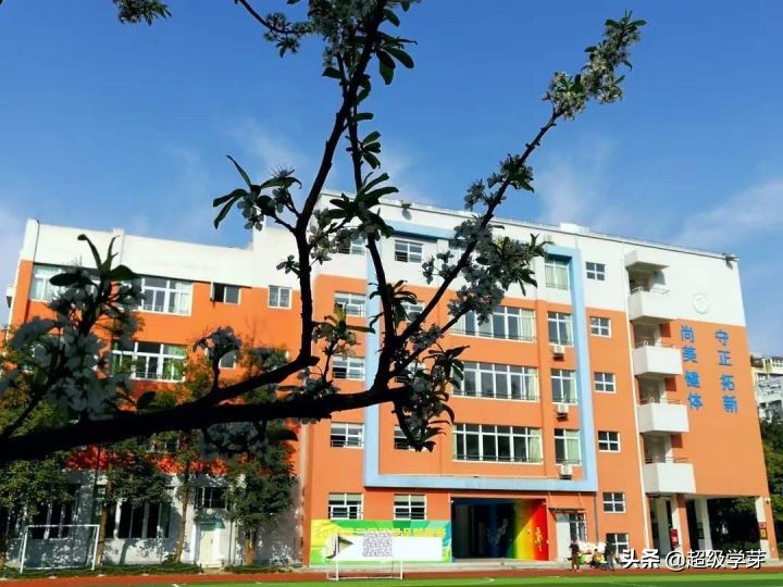 @成都家长，对口全好初中！解密！小升初青羊五区炙手可热的原因