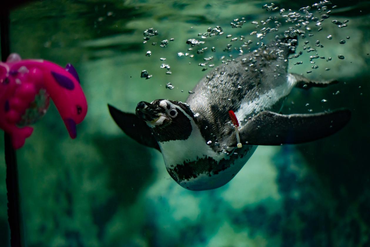 京津冀周边玩三天左右,京津冀十月旅游免费景区