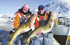 视界网带你深度解析,视界网知识大全