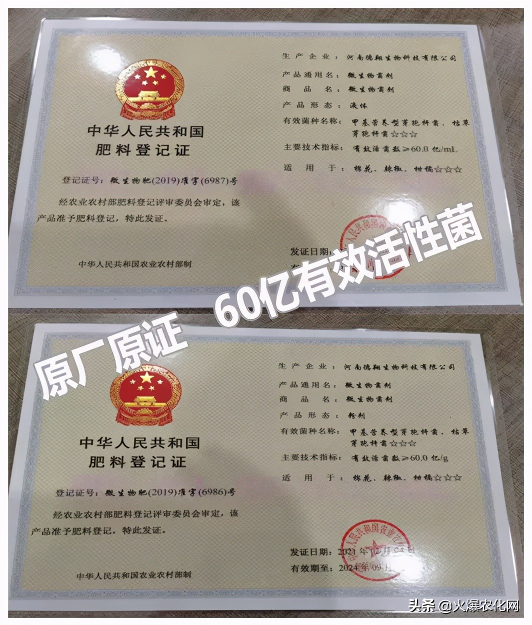 全面替代铜制剂！新一代“击溃爆品”！不伤花果！防治率高达96%