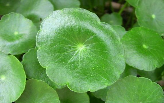 面膜抗皱紧致抗衰老,补水紧致面膜排行榜