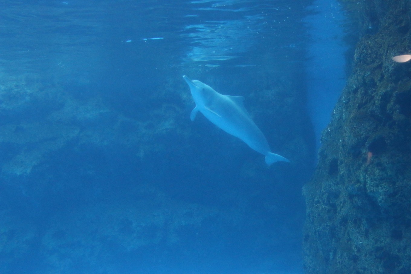 珠海长隆海洋王国攻略三天两夜,珠海长隆海洋王国必玩十大项目