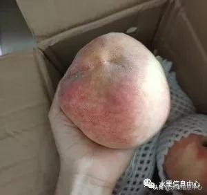 在网上买水果有哪些坑,在网上买水果划算吗