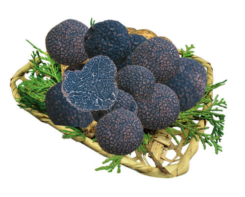 松露昂贵,松露价格大概是多少