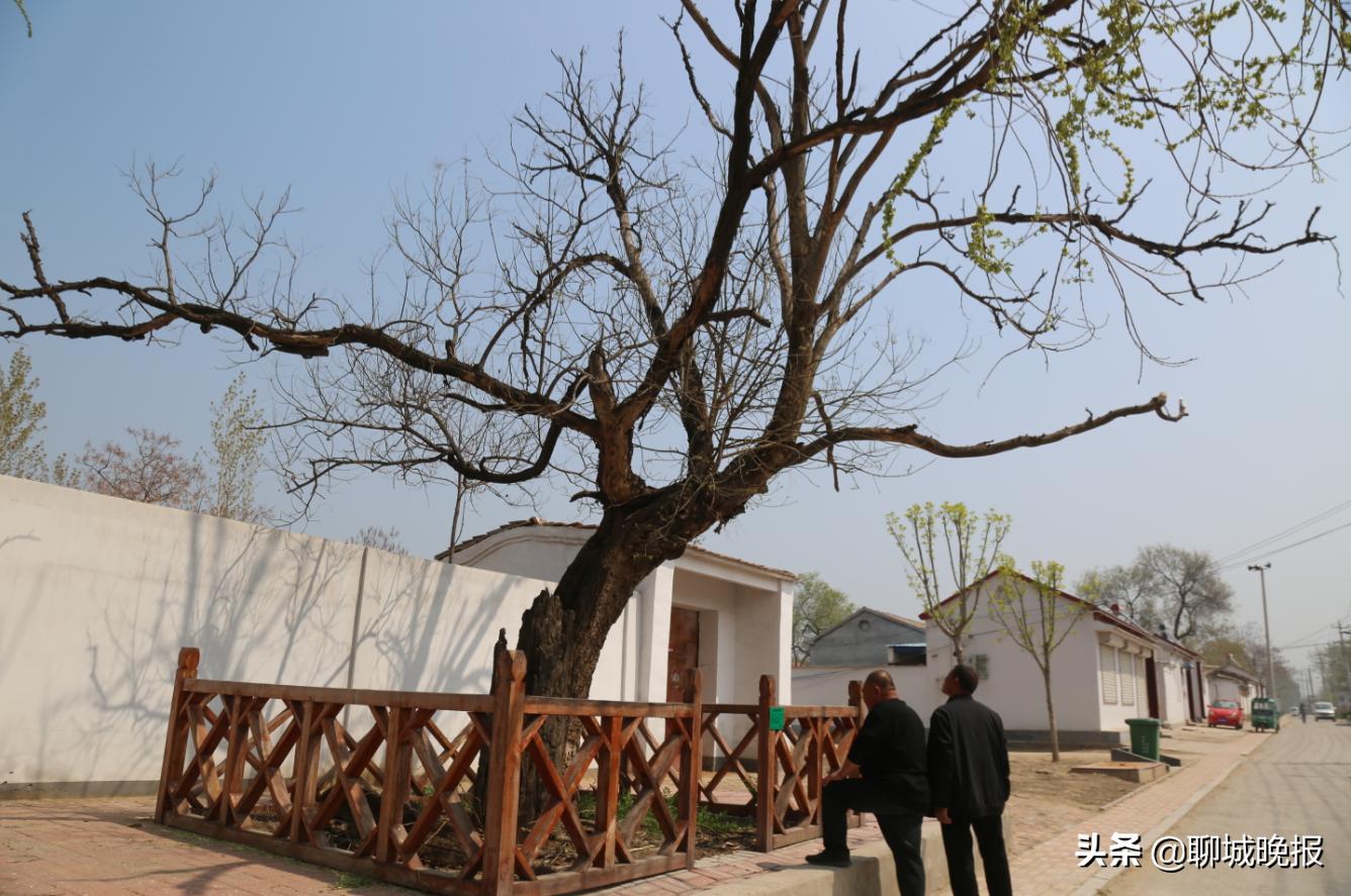 抗战时期唐县老支部书记,抗日时期高唐县